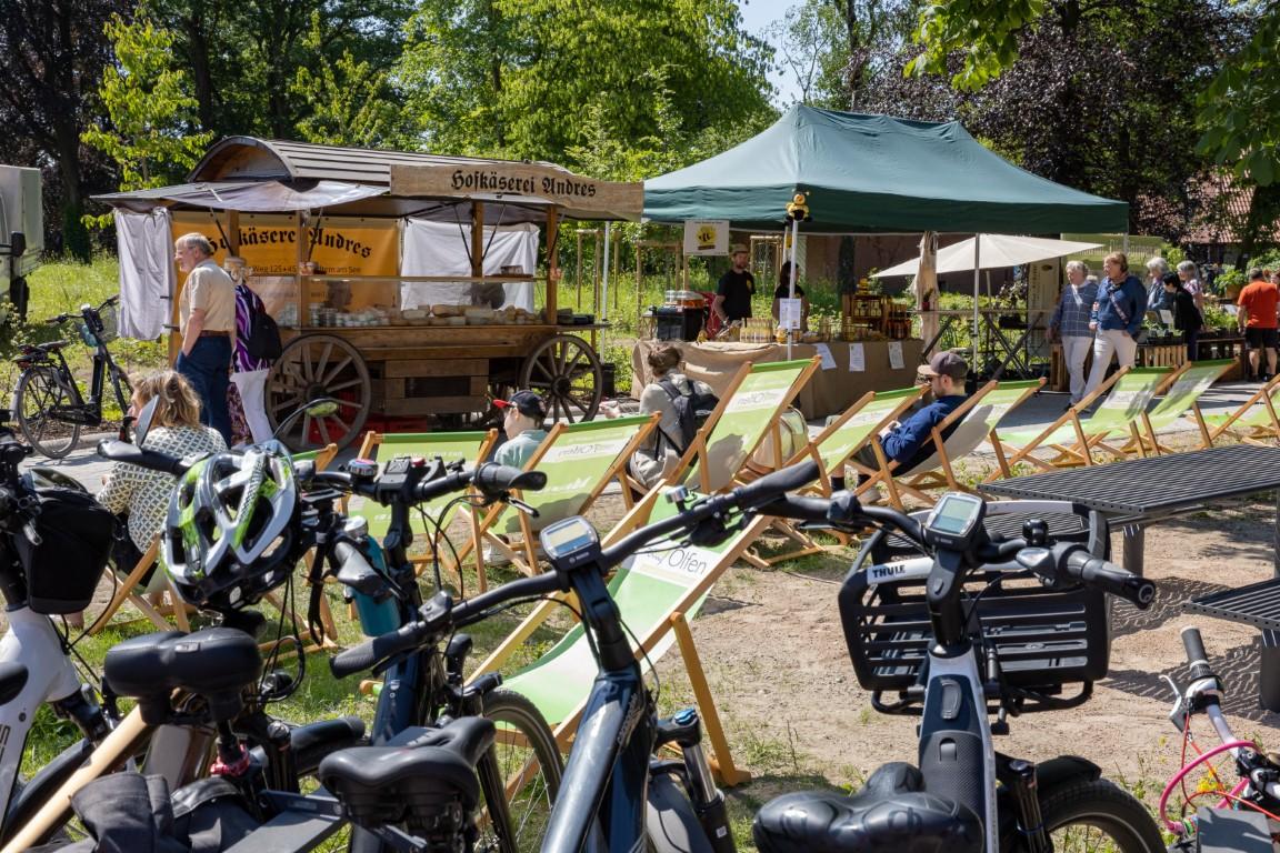 Fahrräder, Stände und Liegestühle beim Steverauenfest.