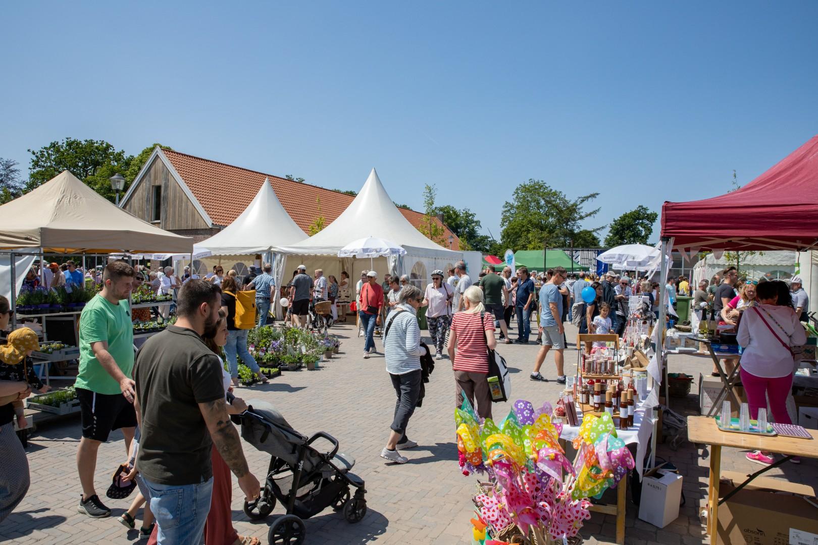 Eindrücke von Besuchern und Ständen beim Steverauenfest 2023.