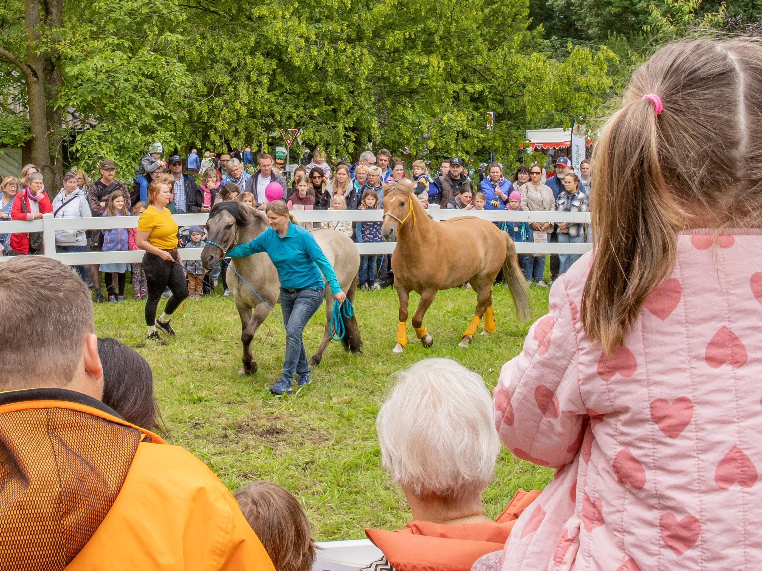 Steverauenfest 2026 - Impressionen vom Fest