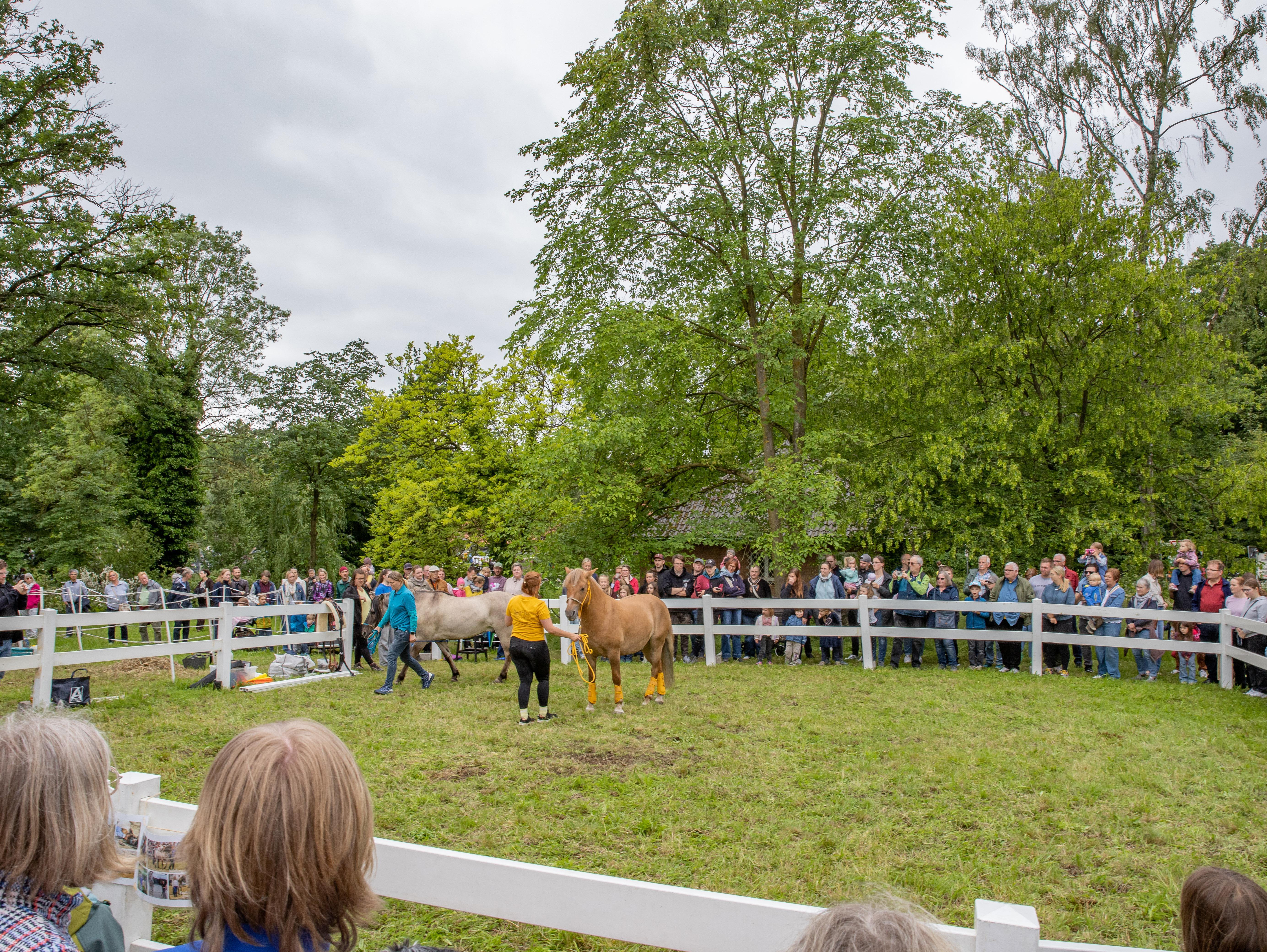 Steverauenfest 2026 - Impressionen vom Fest