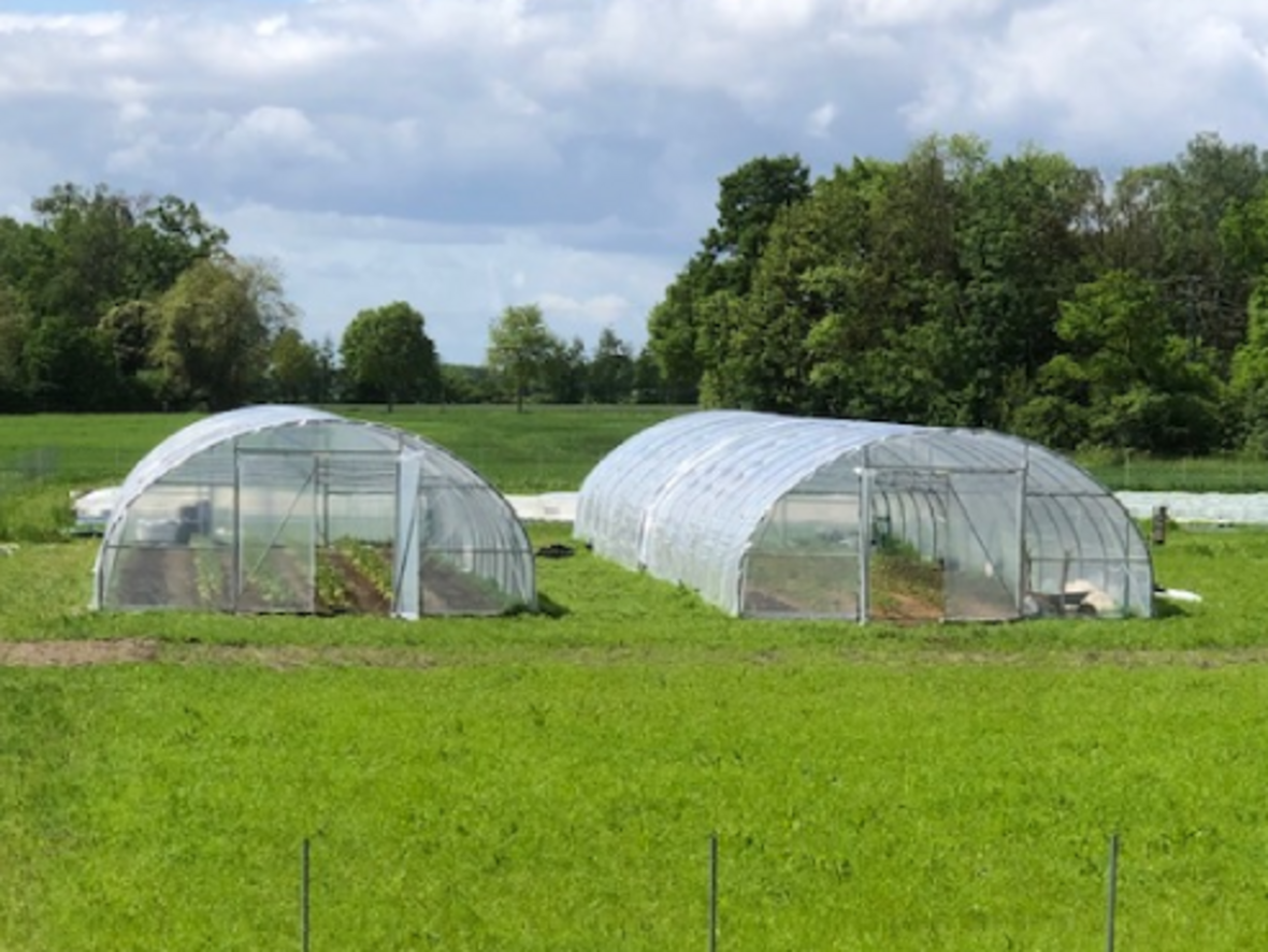 Auf dem Foto ist die SoLaWi-Fläche zu erkenenn. Zwei große Gewächshäuser stehen auf der landwirtschaftlichen Fläche. Runterherum grüner Rasen.