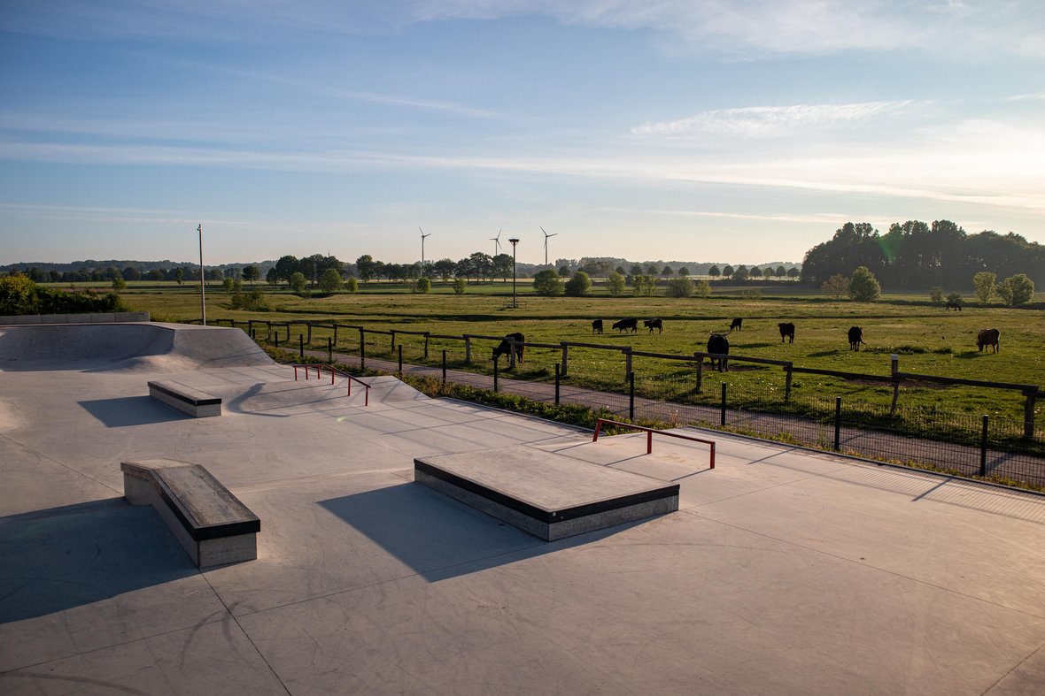 Die Skateanlage aus Beton liegt inmitten der Steveraue Olfen. Im Hintergrund ist die beweidete Fläche mit den Heckrindern der Aue zu erkennen.