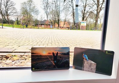 Zwei Melamin-Frühstücksbrettchen werden präsentier: Eines mit dem Foto einses Poitou-Esels, das andere mit dem Foto eins Eisvogels aus der Steveraue.