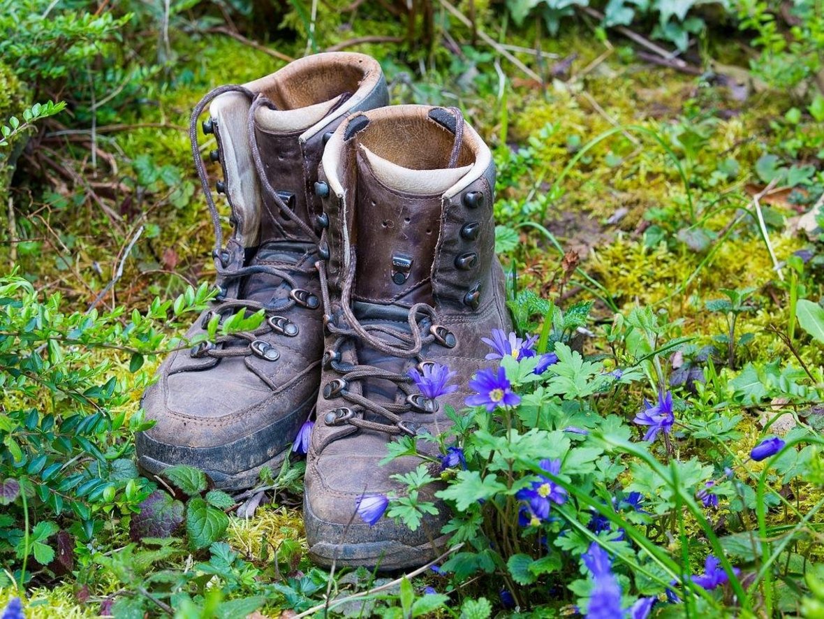 Ein paar braune Wandeschuhe steht in einer grünen, bemosten Wiese mit blauen Blümchen.