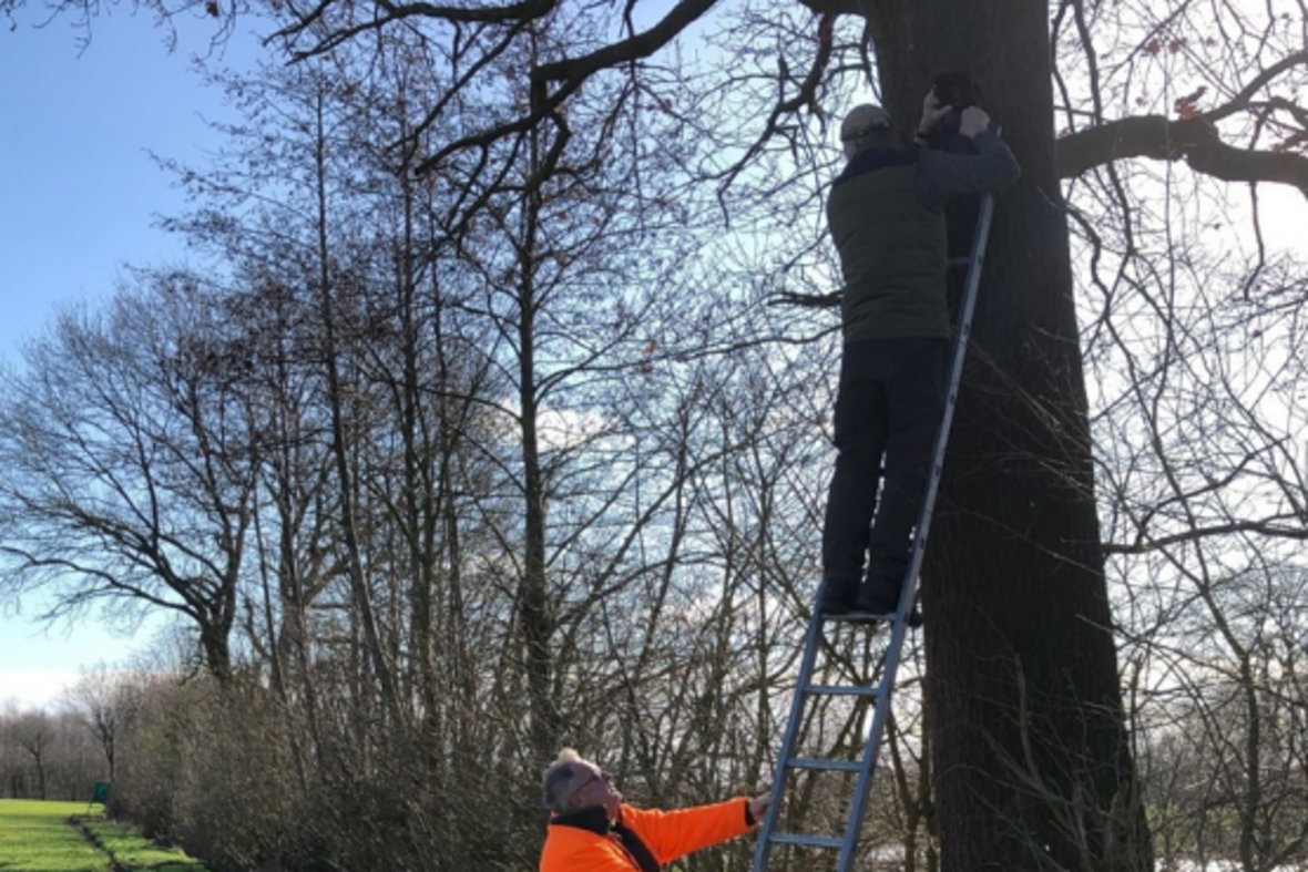 Hegering bringt Meisenkästen an (Foto: Stadt Olfen)