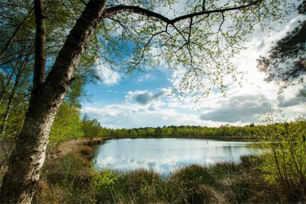 Venner Moor (Foto: Daniela Stera)