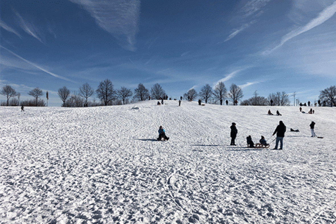 Ein Hügel an der alten Fahrt ist komplett mit Schnee bedeckt. Überall sind Personen mit Schlitten zu sehen. Der Himmel ist strahlend blau.