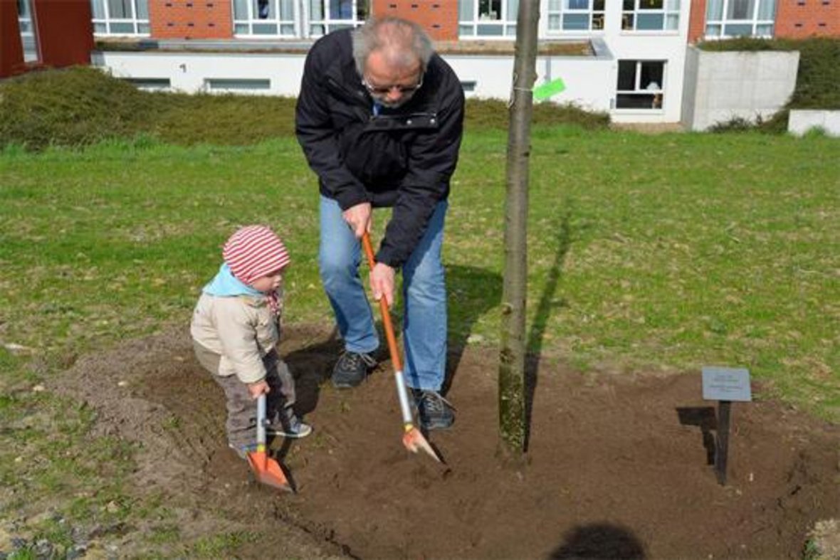 Baumpflanzaktion im Jahr 2017. Ein Großvater pflanzt mit seiner Enkeltochter einen Baum ein.
