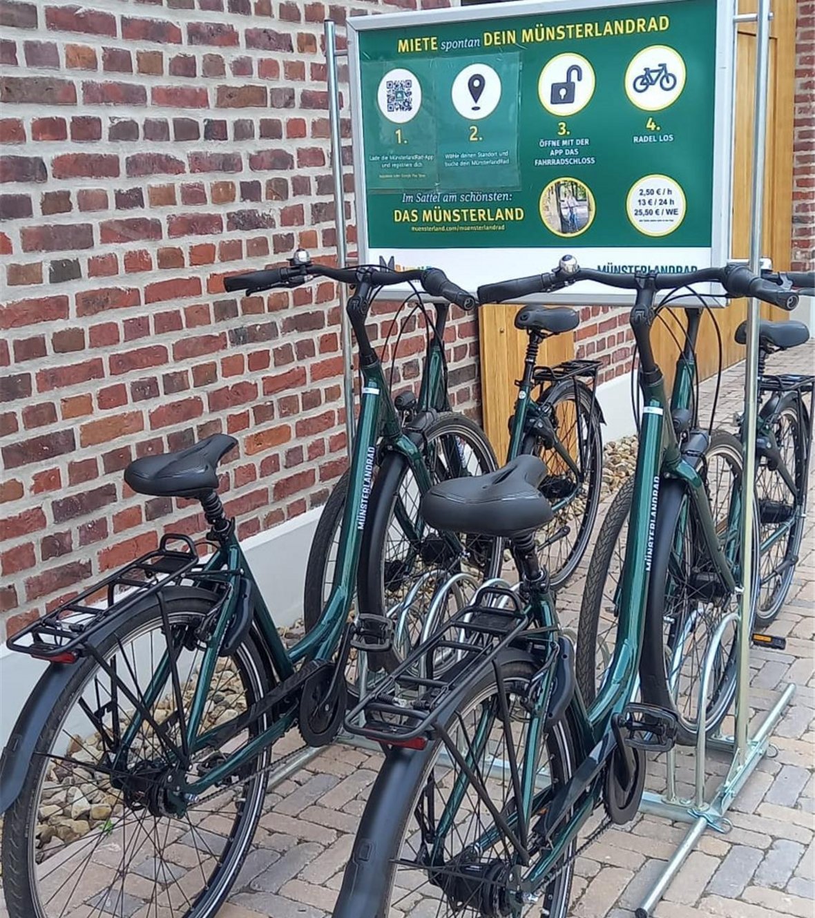 Auf dem Foto sind vier grüne Leihräder zu sehen, die hinter dem Naturparkhaus Steveraue stehen. Darüber ist ein Plakat, welches die Ausleihe der Räder von MünsterlandRad erläutert.