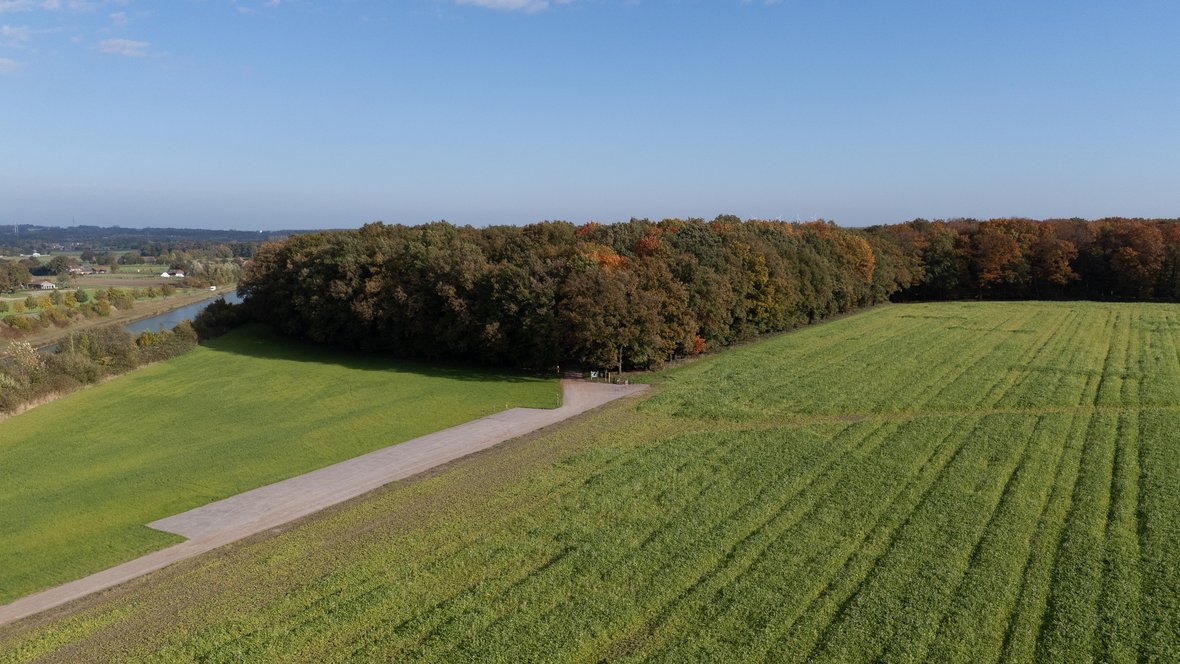 Luftaufnahme vom Ruhewald Sandfort.